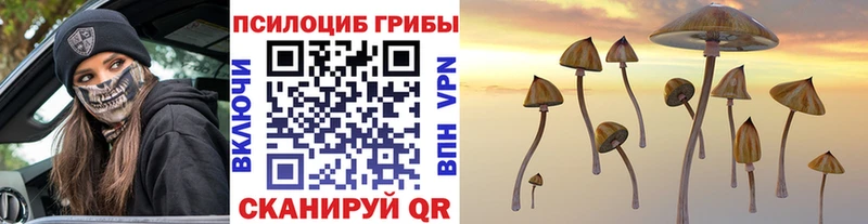 Галлюциногенные грибы мицелий  Купить  Шарыпово 